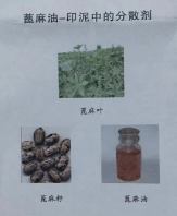 蓖麻油